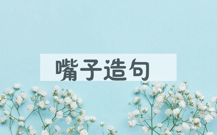 用嘴子造句
