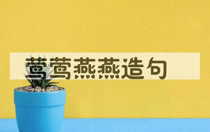 用莺莺燕燕造句