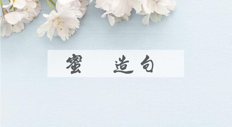 用蜜囊造句