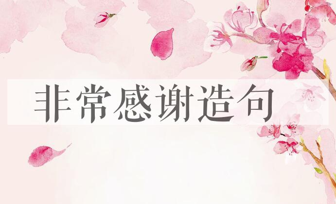 用非常感谢造句