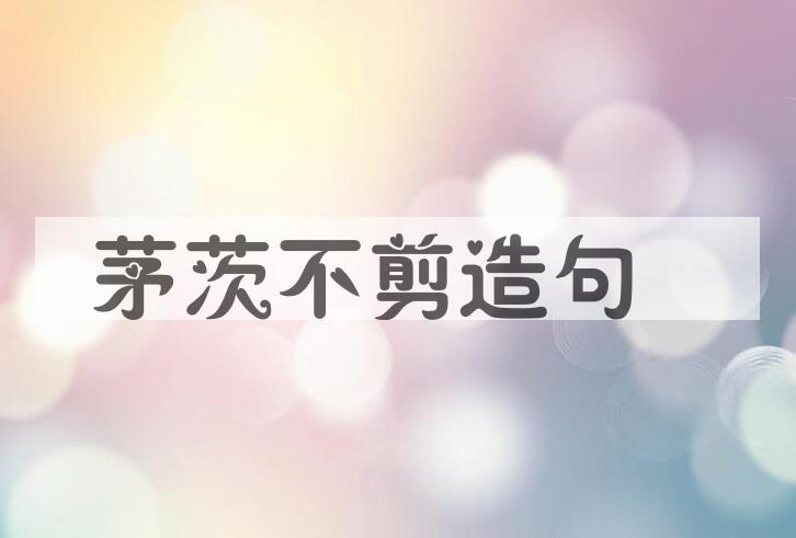 用茅茨不剪造句