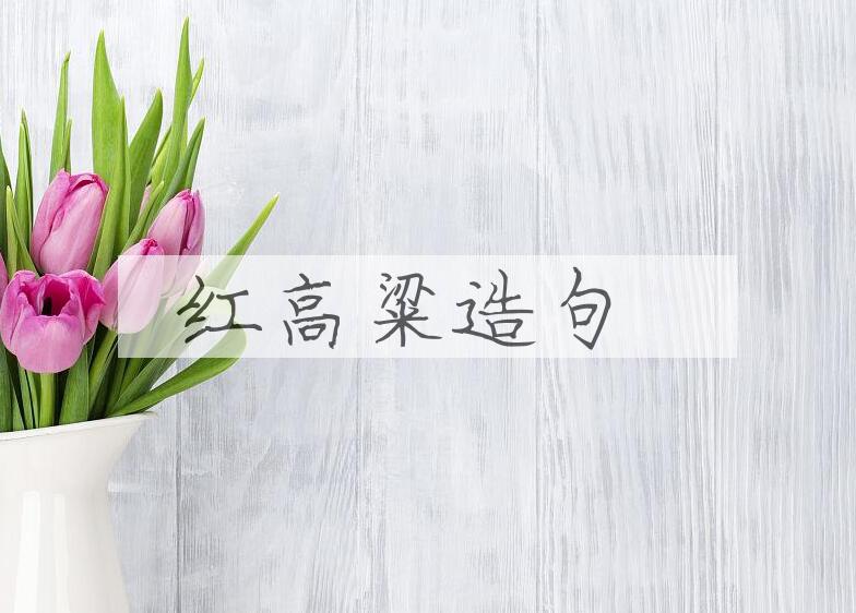 用红高粱造句