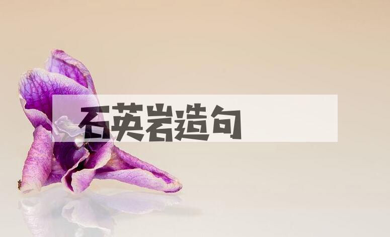 用石英岩造句