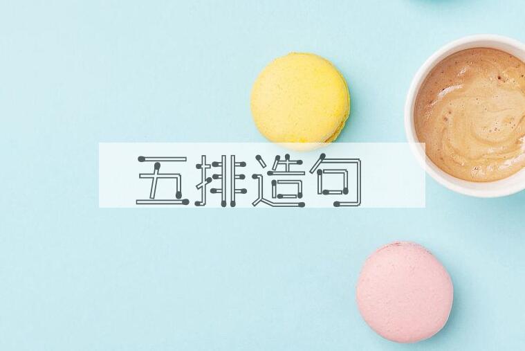 用五排造句