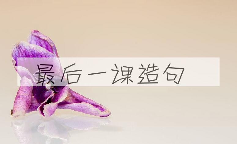 用最后一课造句