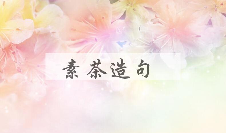 用素茶造句