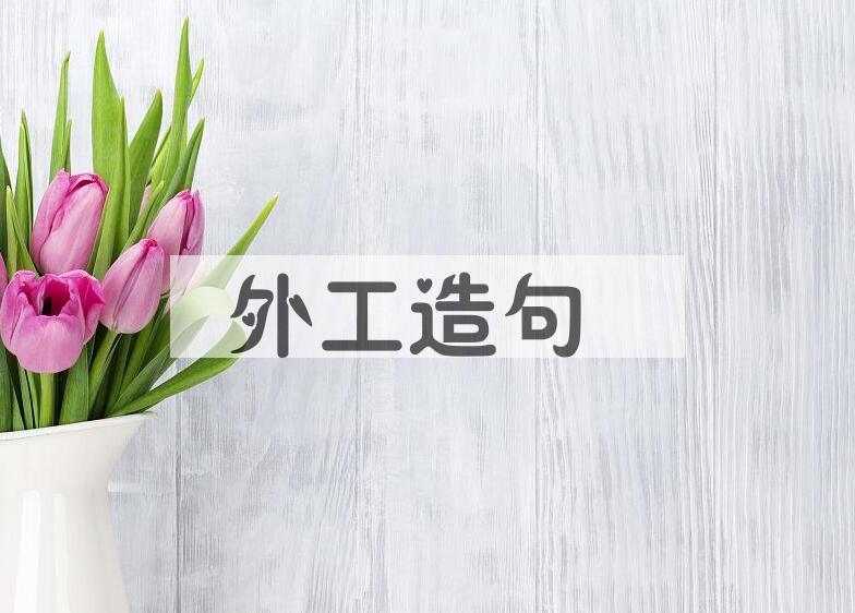 用外工造句