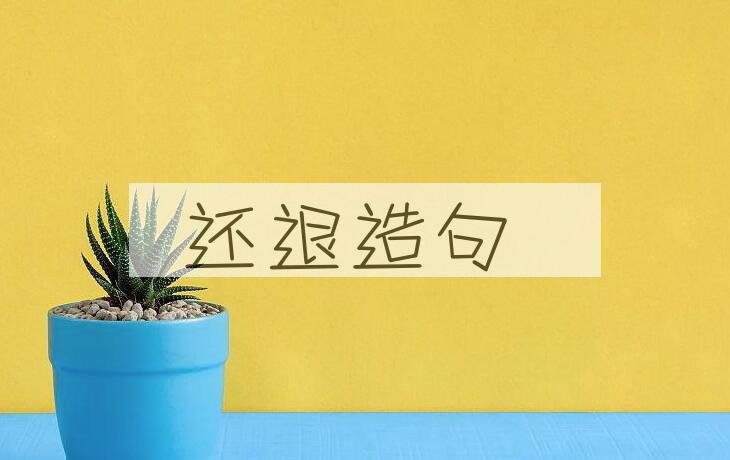 用还退造句