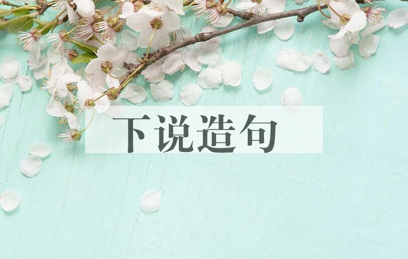 用下说造句