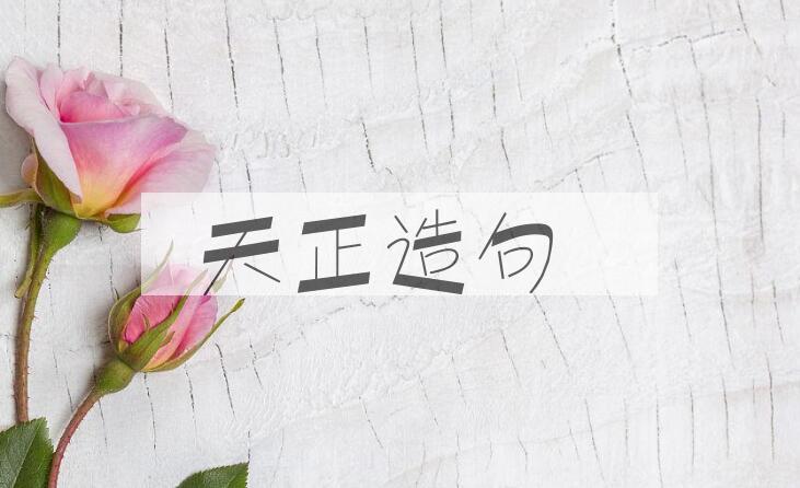 用天正造句