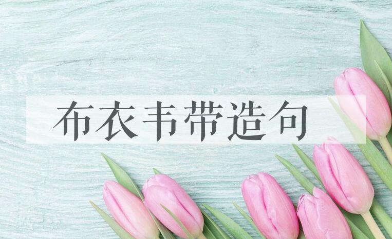 用布衣韦带造句