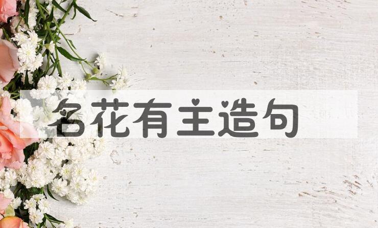 用名花有主造句