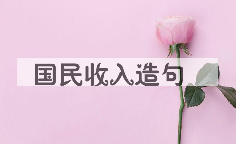 用国民收入造句