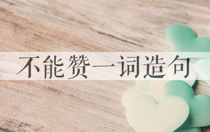 用不能赞一词造句