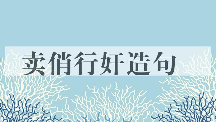 用卖俏行奸造句