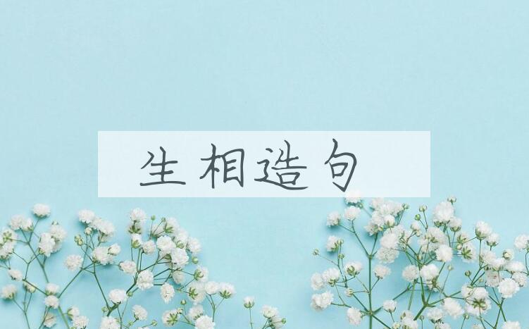 用生相造句