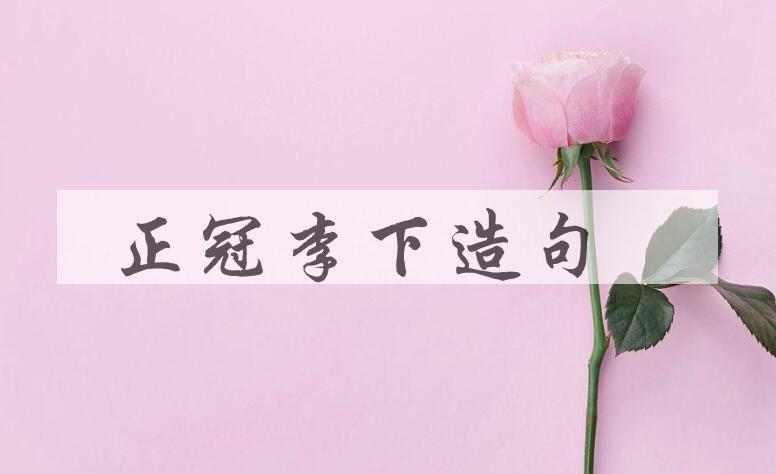用正冠李下造句
