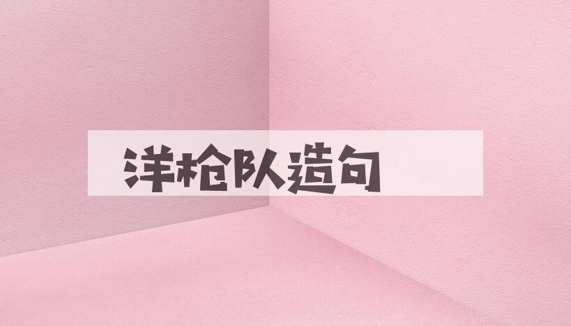 用洋枪队造句