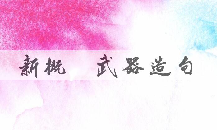 用新概念武器造句