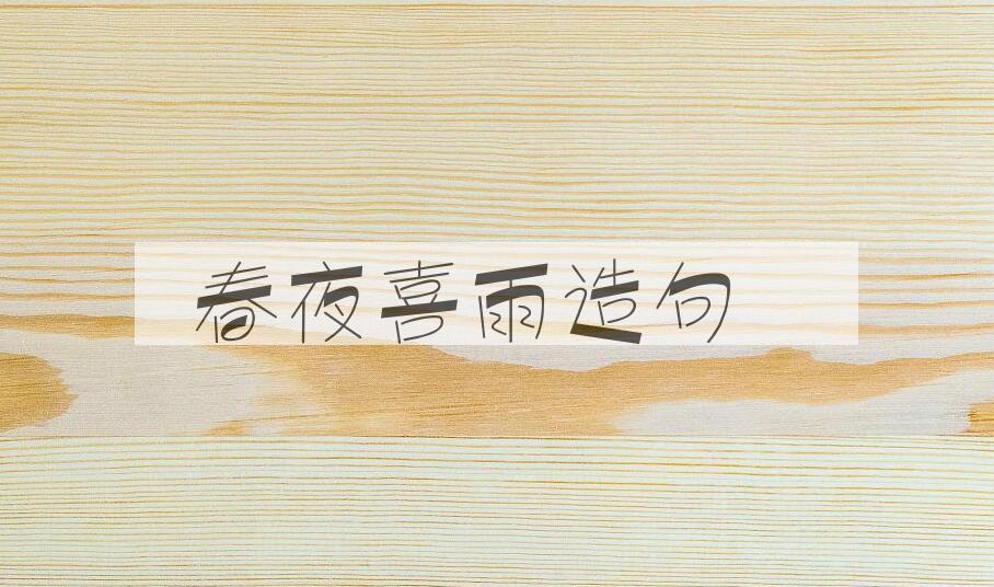 用春夜喜雨造句