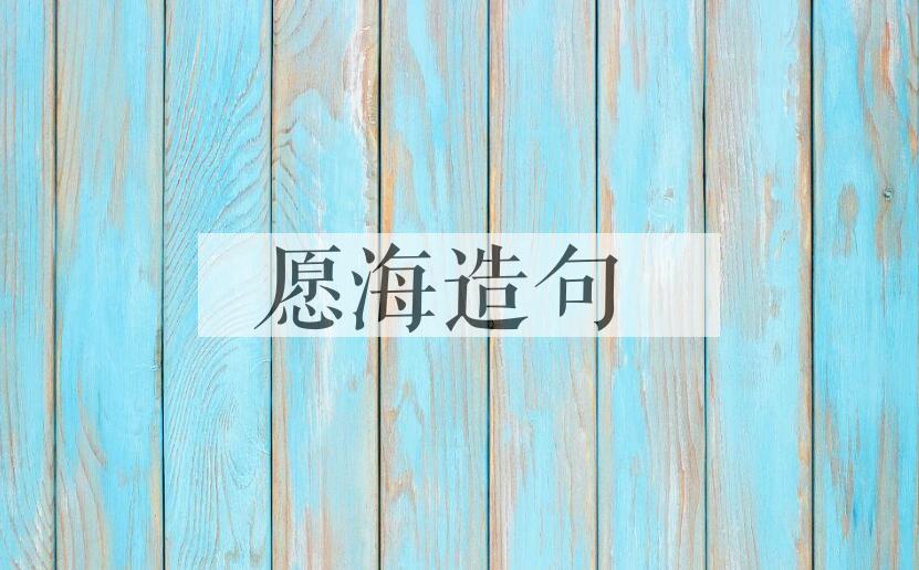 用愿海造句