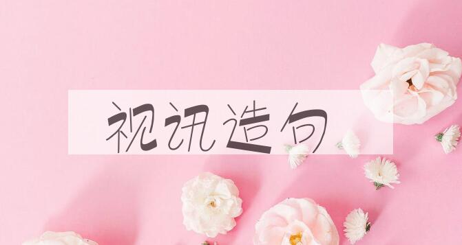 用视讯造句