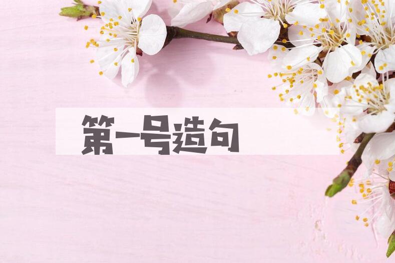 用第一号造句