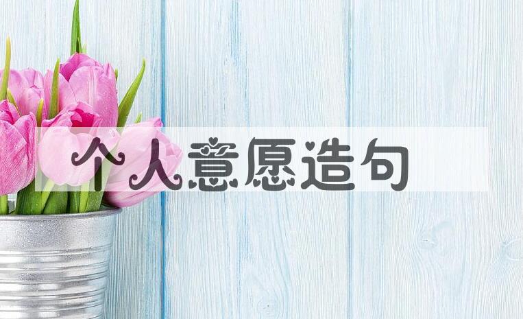 用个人意愿造句