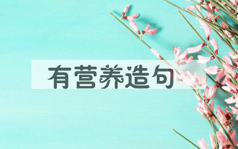 用有营养造句