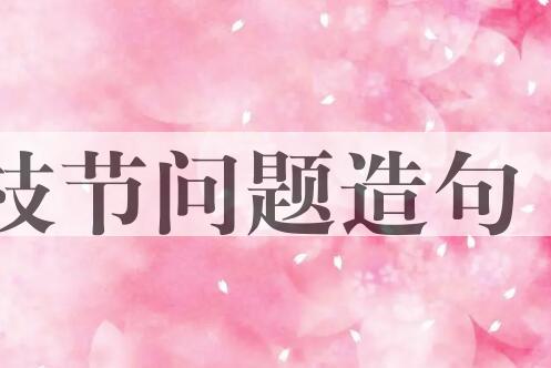 用枝节问题造句