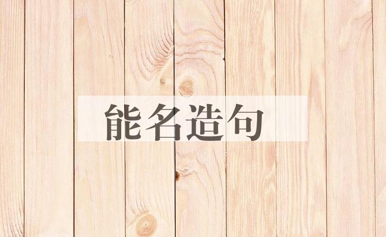 用能名造句