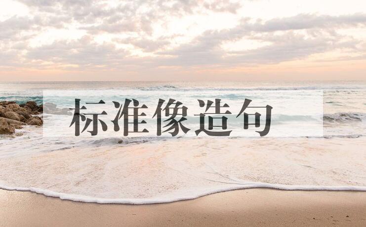 用标准像造句