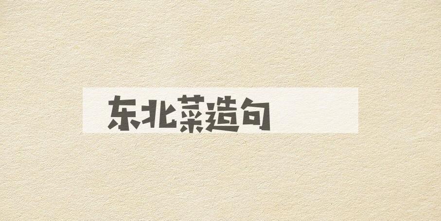 用东北菜造句