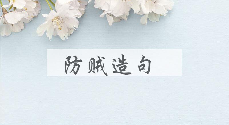 用防贼造句