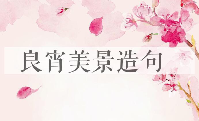 用良宵美景造句