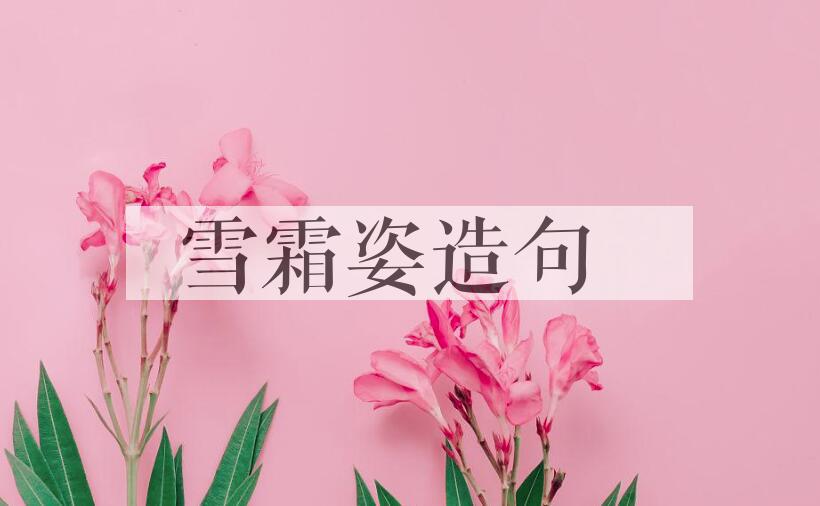 用雪霜姿造句