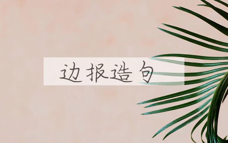 用边报造句