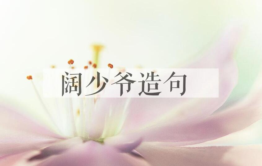 用阔少爷造句