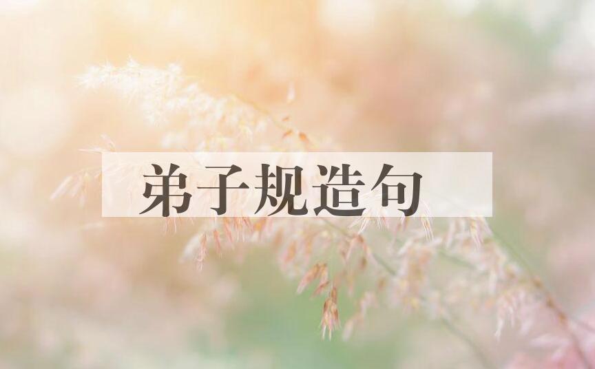 用弟子规造句