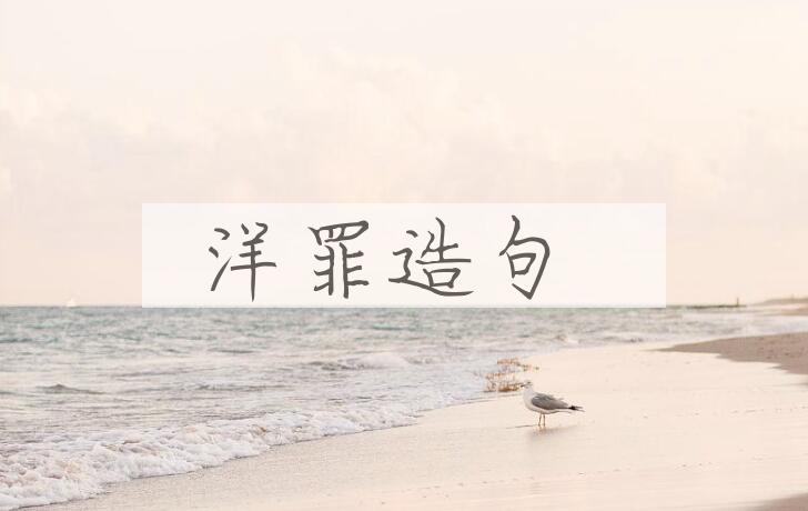 用洋罪造句