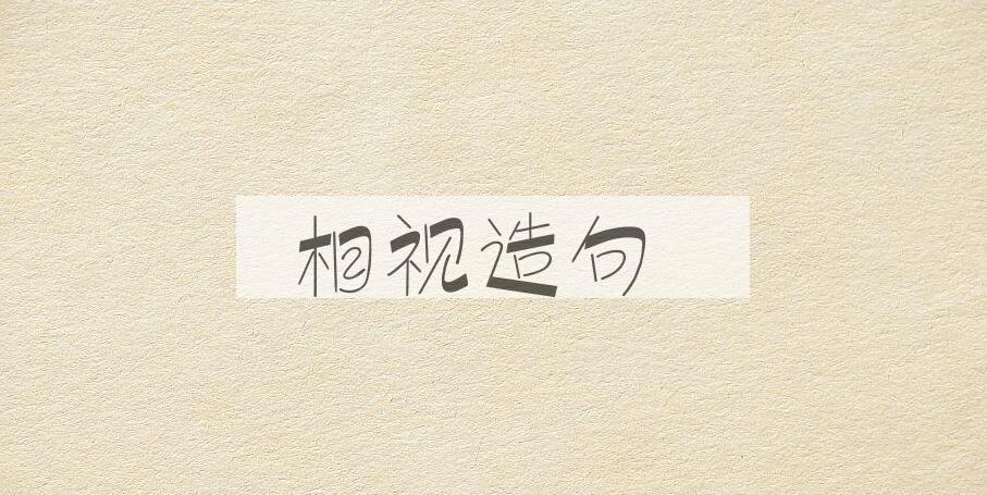 用相视造句