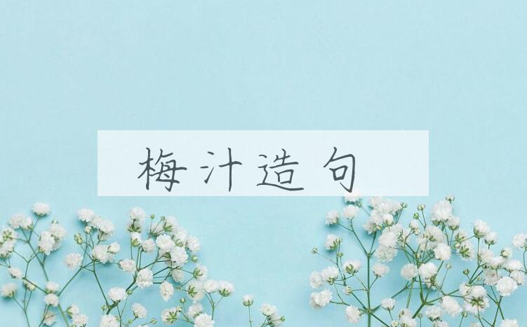 用梅汁造句