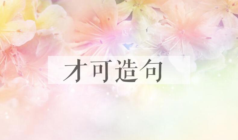 用才可造句