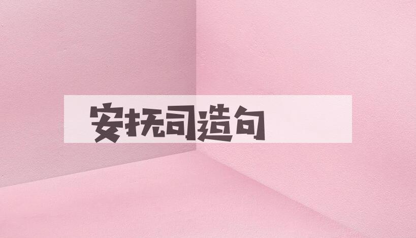 用安抚司造句