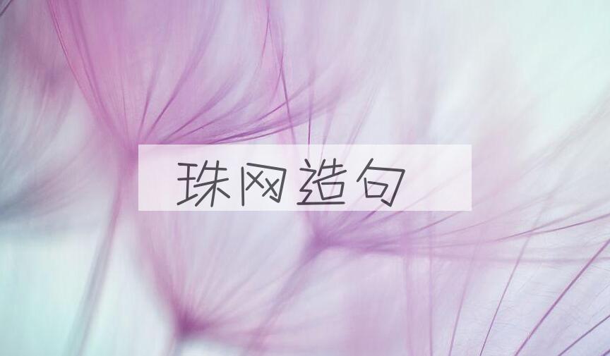 用珠网造句