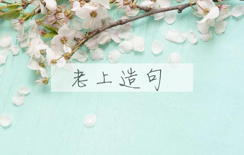 用老上造句