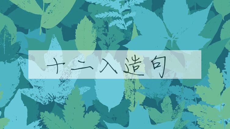 用十二入造句