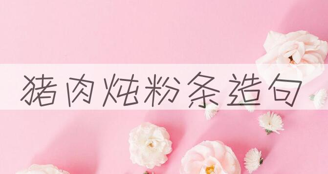 用猪肉炖粉条造句