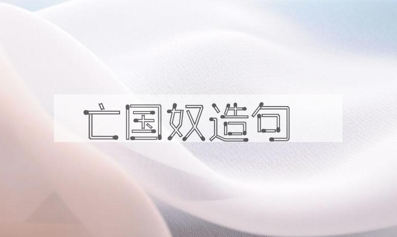 用亡国奴造句