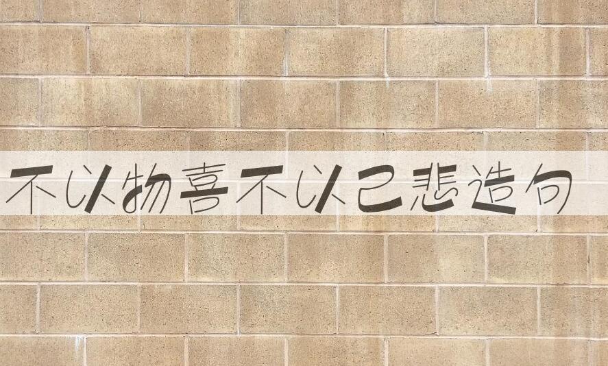 用不以物喜不以己悲造句